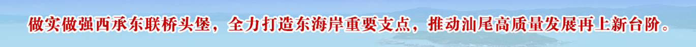 做實做強西承東聯橋頭堡，全力打造東海岸重要支點，推動汕尾高質量發展再上新臺階。
