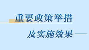 重要政策舉措及實施效果