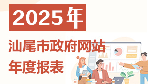 2025年汕尾市政府網站年度報表